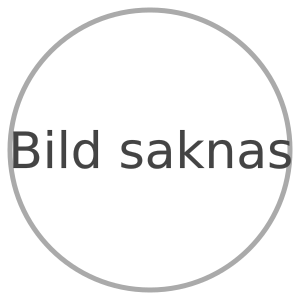 Ingen bild